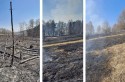 Duży pożar nieużytków w Brodach