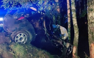 Ukrainiec wypadł z drogi i wbił się autem w drzewo. Policja sprawdza, czy był "pod wpływem"