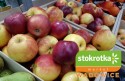 Mega promocja na pyszne, polskie jabłka w Markecie Stokrotka