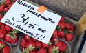 Cena truskawek w Wadowicach w sobotę (15.05)