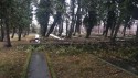 Cmentarz wojenny w Wadowicach, na ktorym chowano jeńców ukraińskich