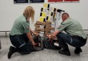 103 kg wędlin znaleźli celnicy w bagażu pasażerów na lotnisku w Krakowie