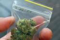 28-latek z marihuaną wpadł w Kalwarii Zebrzydowskiej