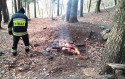 Płonie ognisko w lesie. Strażacy z Lanckorony postawieni na baczność