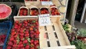Ceny truskawek na bazarku w Wadowicach, 13.05