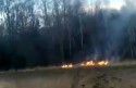 Ogień w Zygodowicach szalał tuż przy lesie