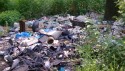 Wyrzucanie śmieci w lasach to zdaniem Polaków zachowanie nieakceptowalne