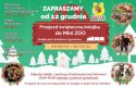 Świąteczną kolejką do Mini Zoo w Inwałdzie !