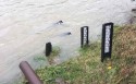 Stan wody w Skawie na dzień 21.10.2016 był wysoki