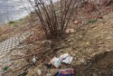 Śmieci nad brzegiej Jeziora Mucharskiego