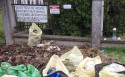 Wpadł w fotopułapkę sołtysa. 60-latek podrzucał śmieci pod cmentarzem w Łękawicy