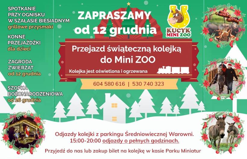 Świąteczną kolejką do Mini Zoo w Inwałdzie !
