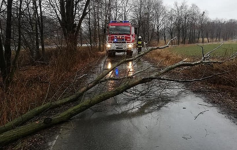 Powalone drzewa w Gierałtowicach zablokowały drogę gminną