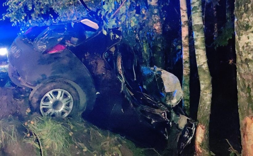 Ukrainiec wypadł z drogi i wbił się autem w drzewo. Policja sprawdza, czy był &quot;pod wpływem&quot;
