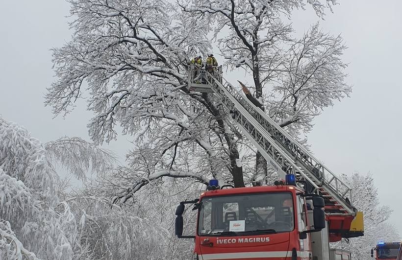 strażacy informują, o ponad 200 wyjazdach związanych z połamanymi konarami drzew, które opadały na jezdnie i kable wysokiego napięcia pod wpływem obciążenia od śniegu