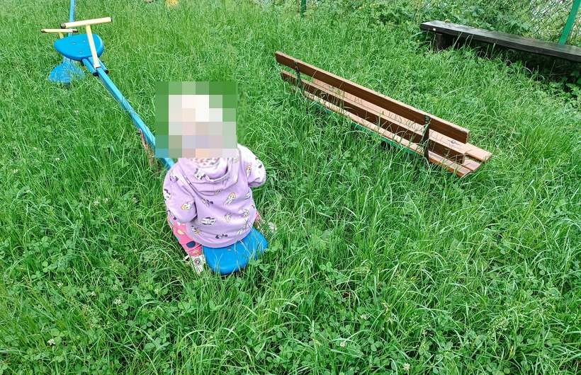 2-letnie dziecko bawi się w wyoskiej trawie