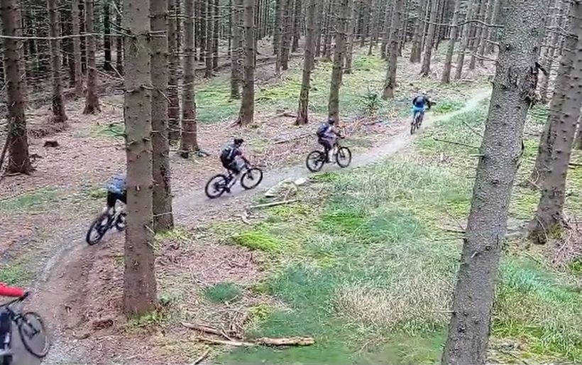 Rowerzyści na szlaku w lesie
