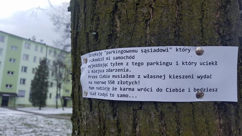 Informacja na drzewie
