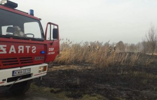 Pożar nieużytków w Kossowej