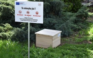 Jeże w Wadowicach zagrożone wyginięciem. Komisja Europejska i wolontariusze budują im domki