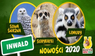 Mini Zoo w Inwałdzie zaprasza od 15 maja