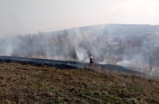 Znów podpalenie na skraju lasu w Stryszowie. Wójt ma dosyć: &quot;Przestańcie wypalać trawy w czasie epidemii&quot;